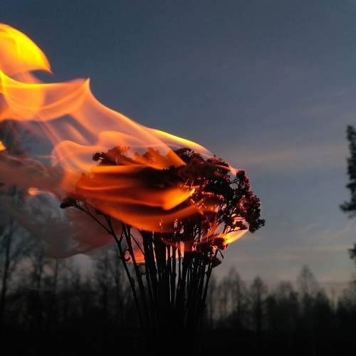 Photo #6373413