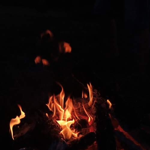 Photo #6373428