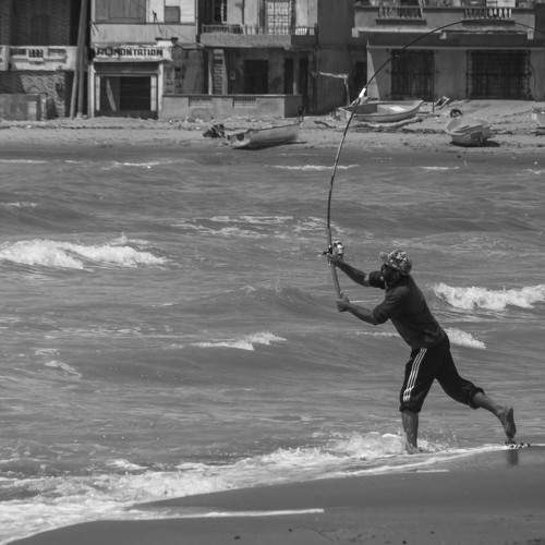 Photo #6373671