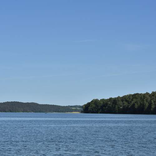 Photo #6373793