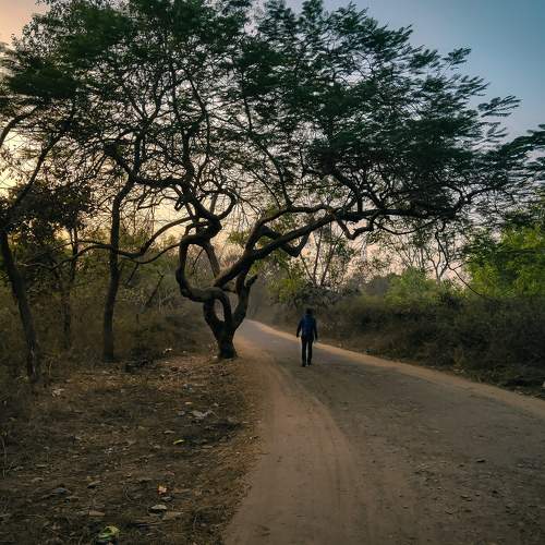 Photo #6373893