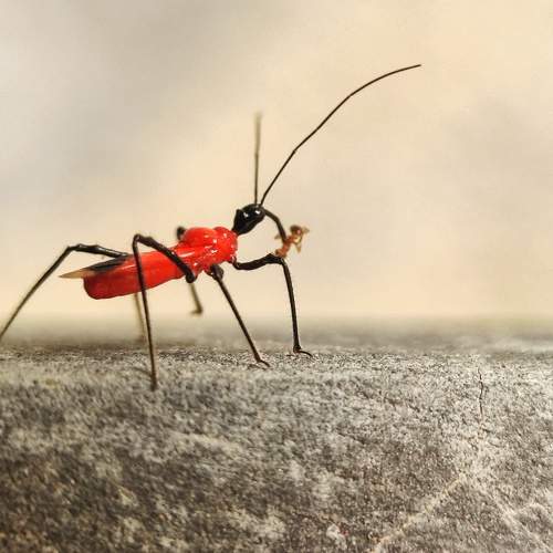Photo #6374126