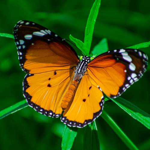 Photo #6374159