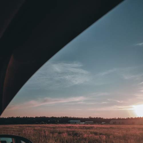 Photo #6374227