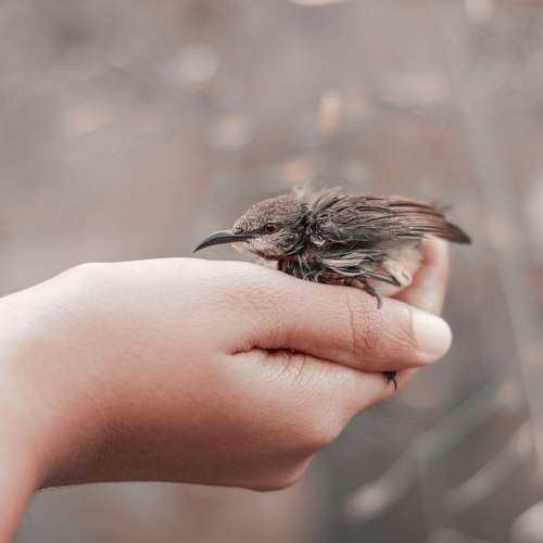 Photo #6374248
