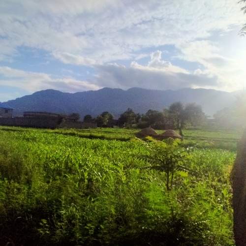 Photo #6374450