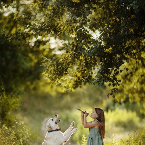 Photo #6374458