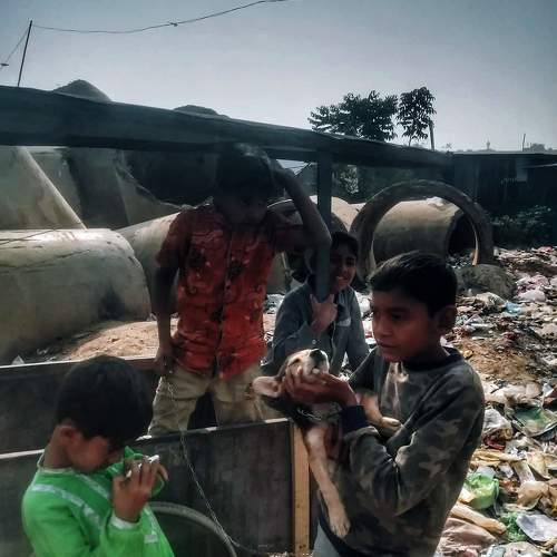 Photo #6374712
