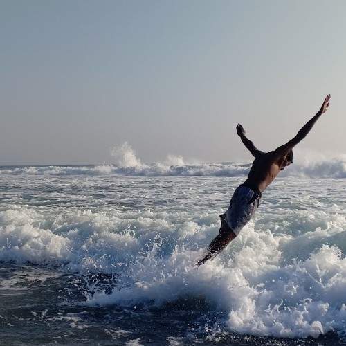 Photo #6374810
