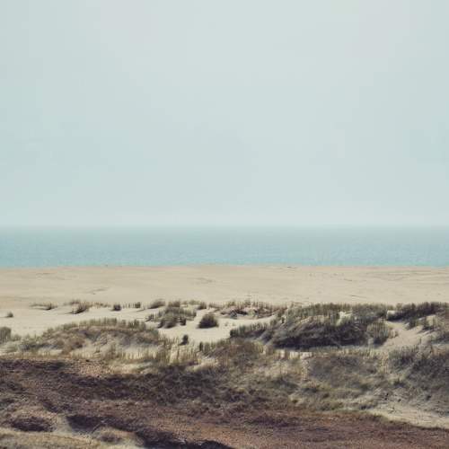 Photo #6375209
