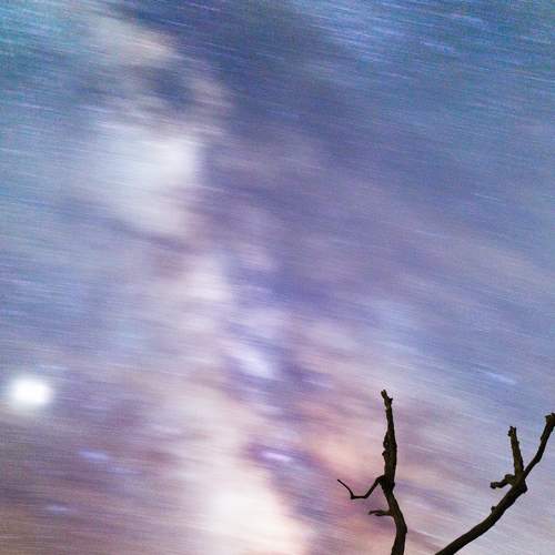 Photo #6375259
