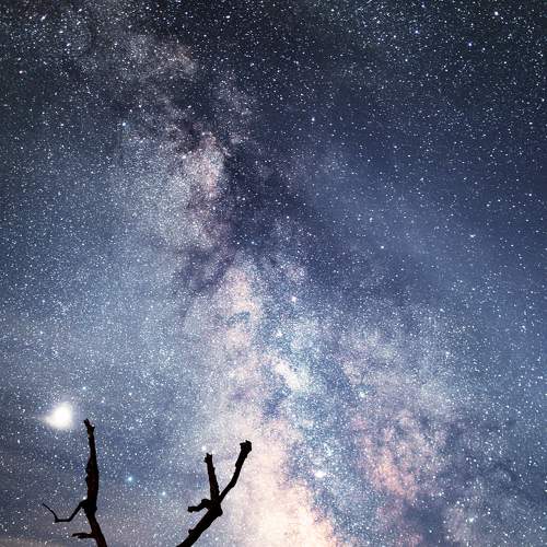 Photo #6375263