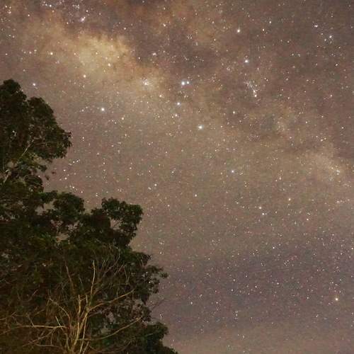 Photo #6375307