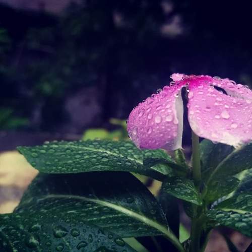 Photo #6375354