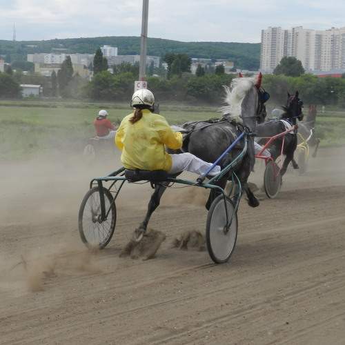 Photo #6375793