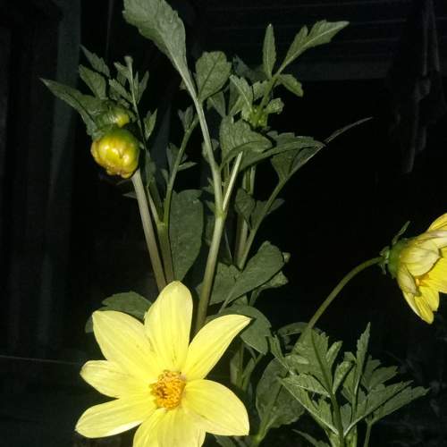Photo #6375852