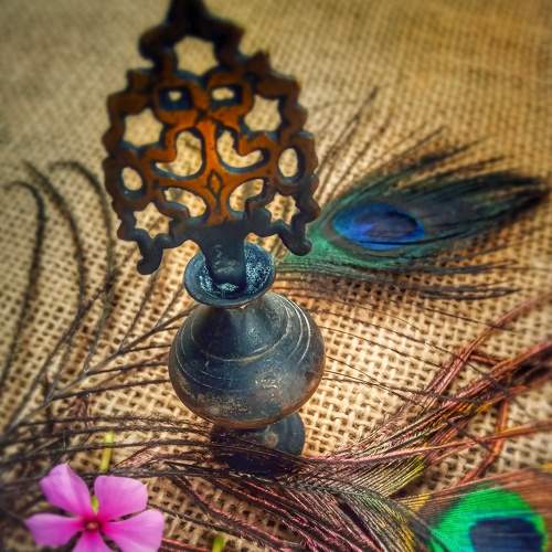 Photo #6376092