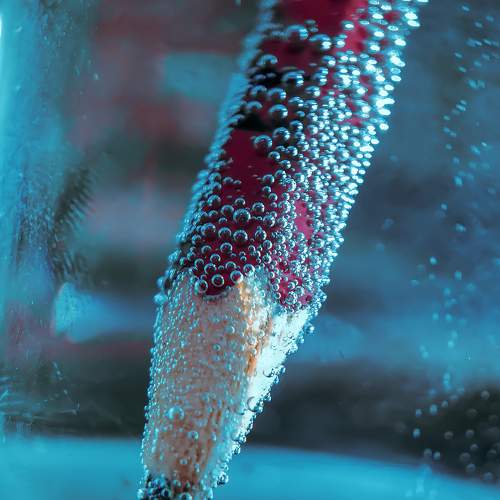 Photo #6376128