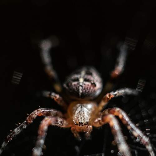 Photo #6376142