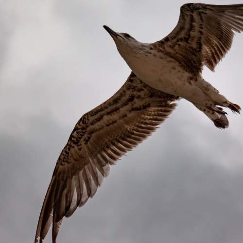 Photo #6376143