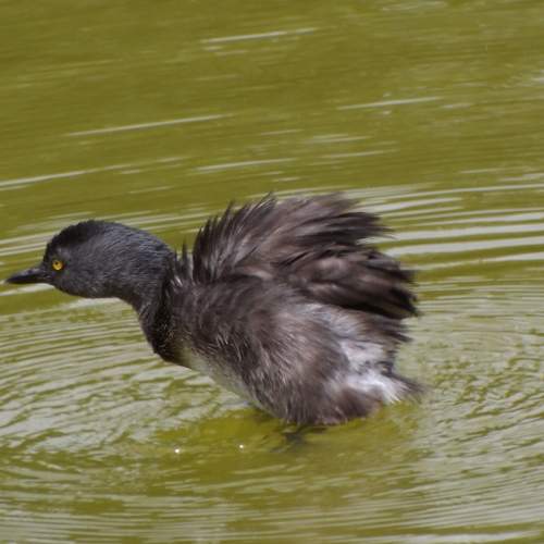 Photo #6376618