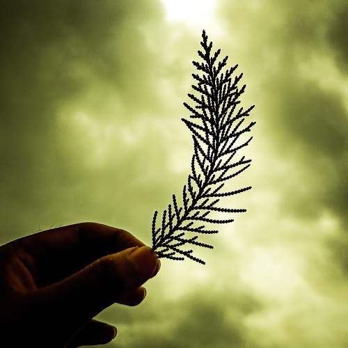 Photo #6376769