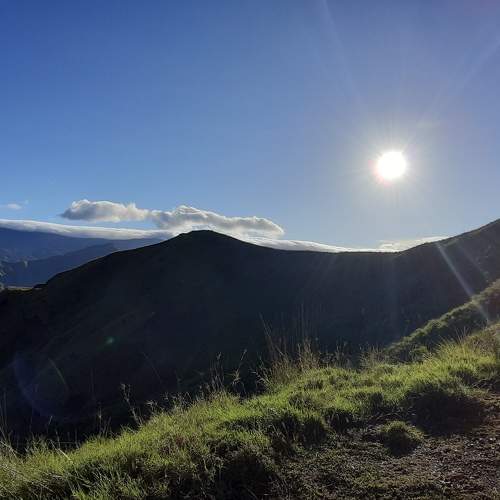 Photo #6376882