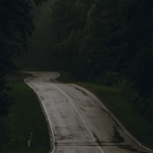 Photo #6377068