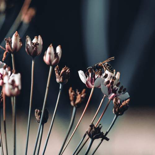 Photo #6377077