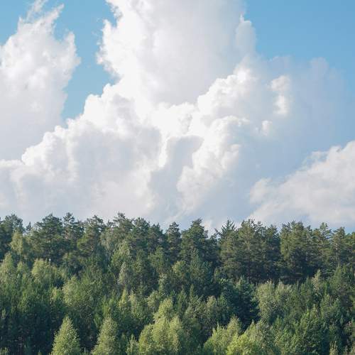 Photo #6377134
