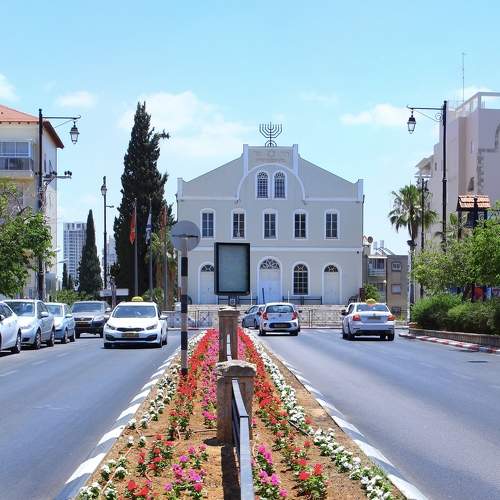 Photo #6377233