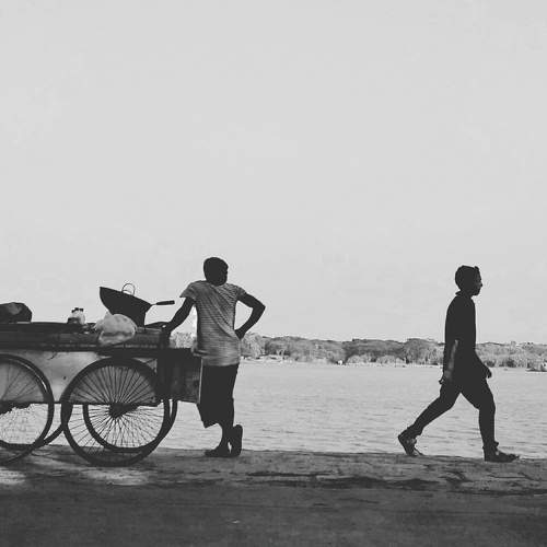 Photo #6377833