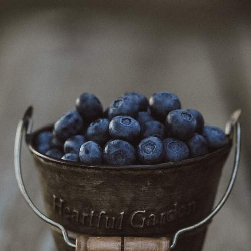 Photo #6378418