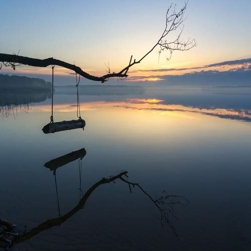 Photo #6378606