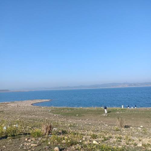 Photo #6378807