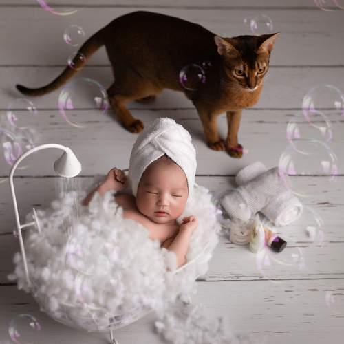 Photo #6379081