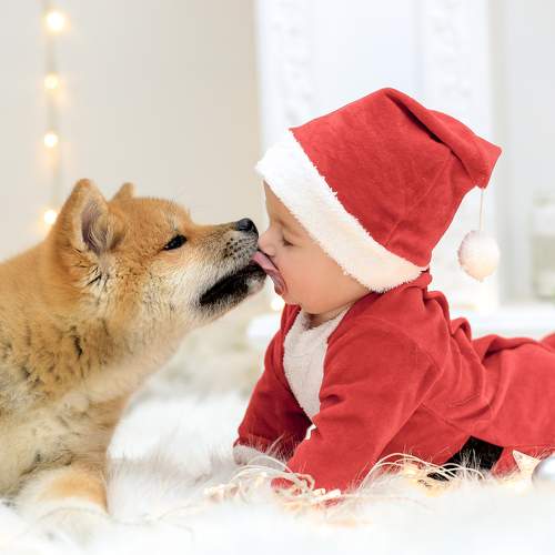 Photo #6379234