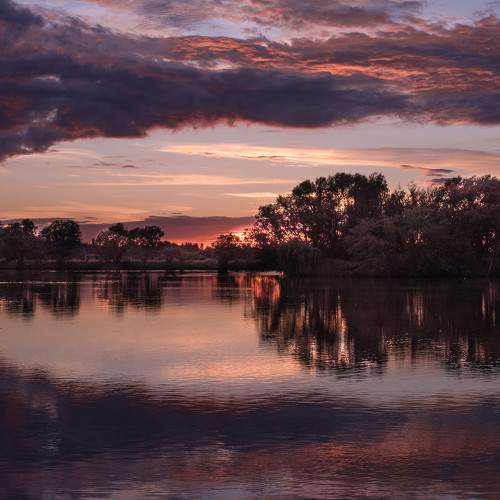 Photo #6379658