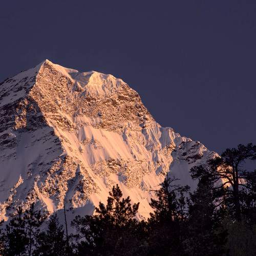 Photo #6379660
