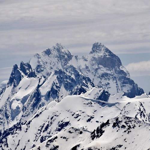 Photo #6379662