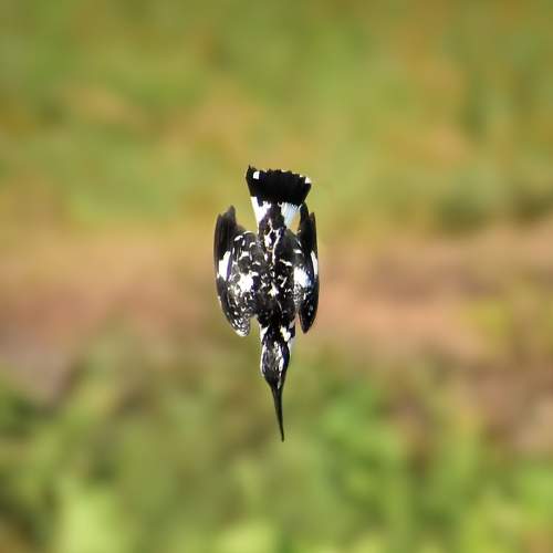 On Target