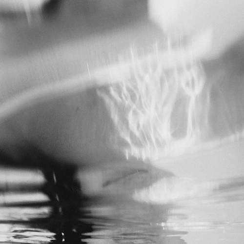 Photo #6380302