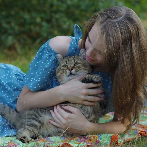 Photo #6380371
