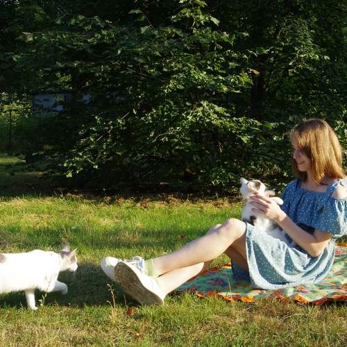 Photo #6380374