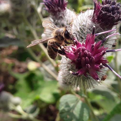 Photo #6380443