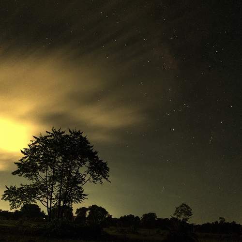Photo #6380505