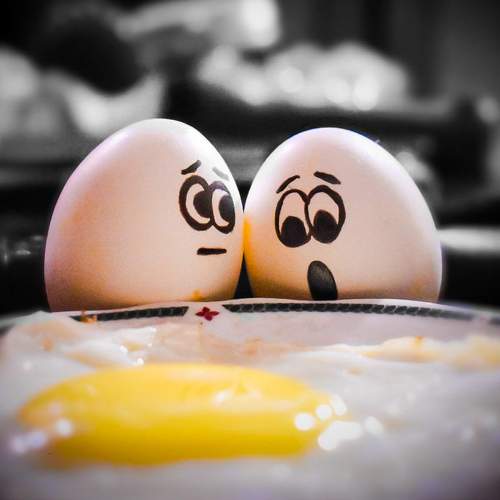 Photo #6380604