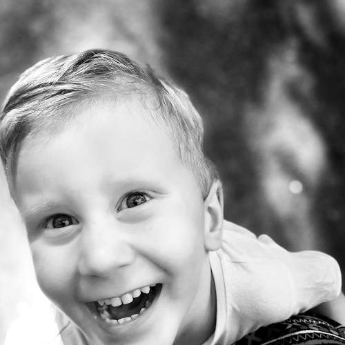Photo #6380680