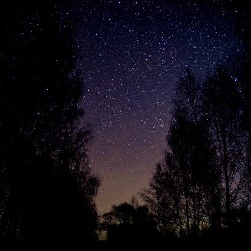 Photo #6380681