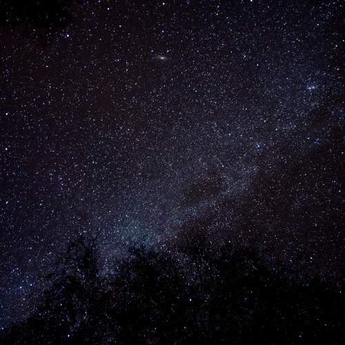 Photo #6380682